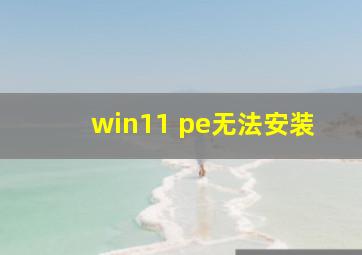 win11 pe无法安装